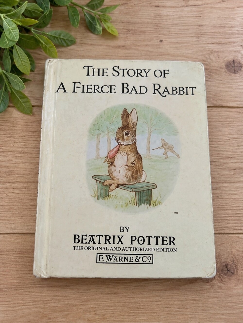 The Story Of The Fierce Bad Rabbit By Beatrix Potter